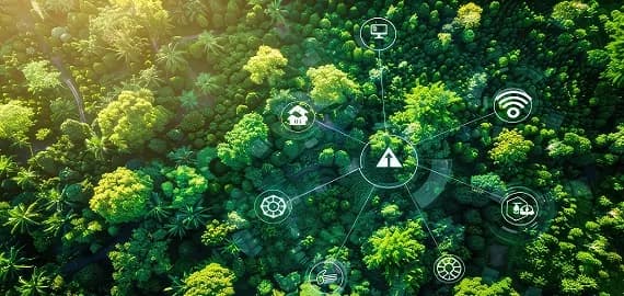 Zrównoważony rozwój lokalny: klucz do lepszej przyszłości społeczności Zrównoważony rozwój lokalny: klucz do lepszej przyszłości społeczności