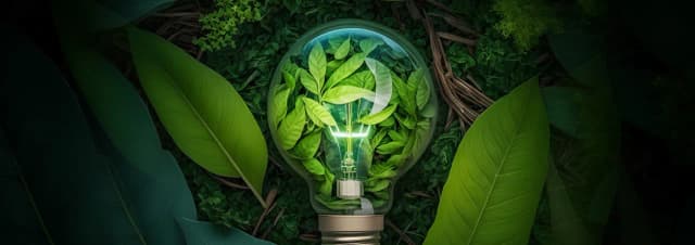 Zrównoważony rozwój przykłady firm: inspirujące praktyki, które działają Zrównoważony rozwój przykłady firm: inspirujące praktyki, które działają