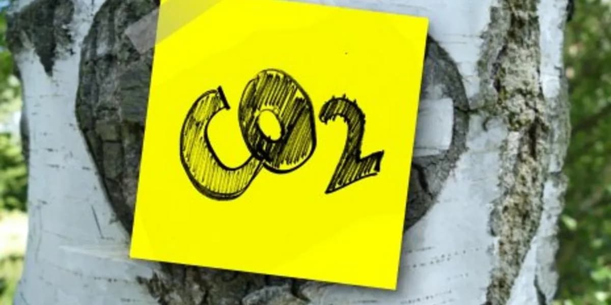 Emisja CO2 w Polsce: Jak znacząco spadły emisje i co to oznacza? Emisja CO2 w Polsce: Jak znacząco spadły emisje i co to oznacza?